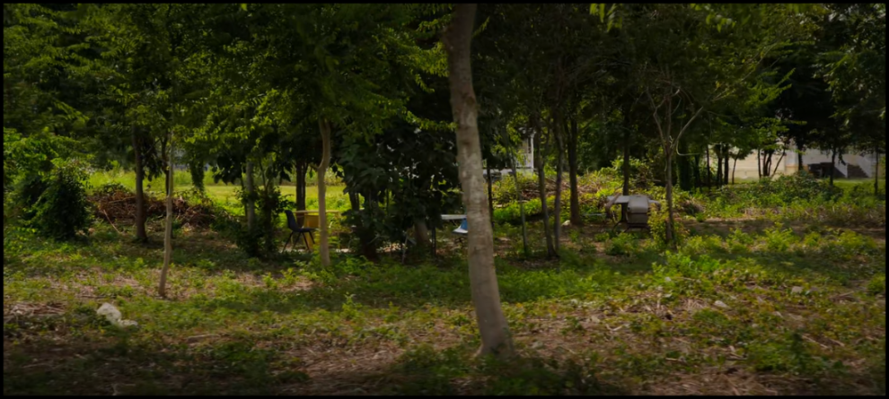 [Image: prd3zwied311.png]