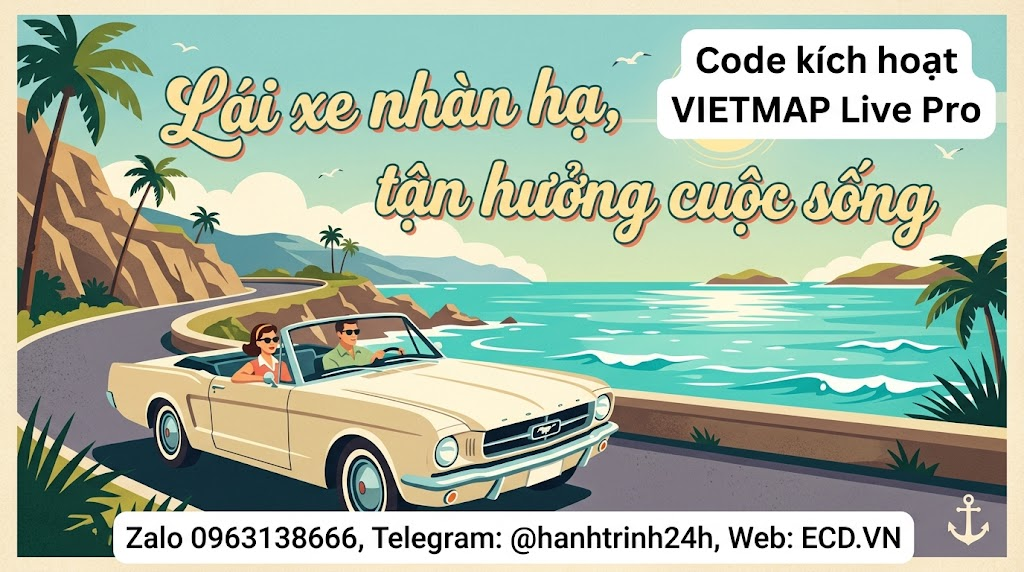 vietmap pro online map