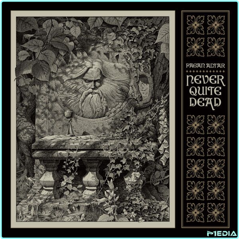 [Image: 9svde54in5in.png]