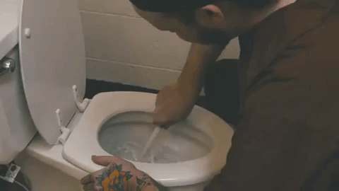 giphy-2024-09-19-T001348-047.gif