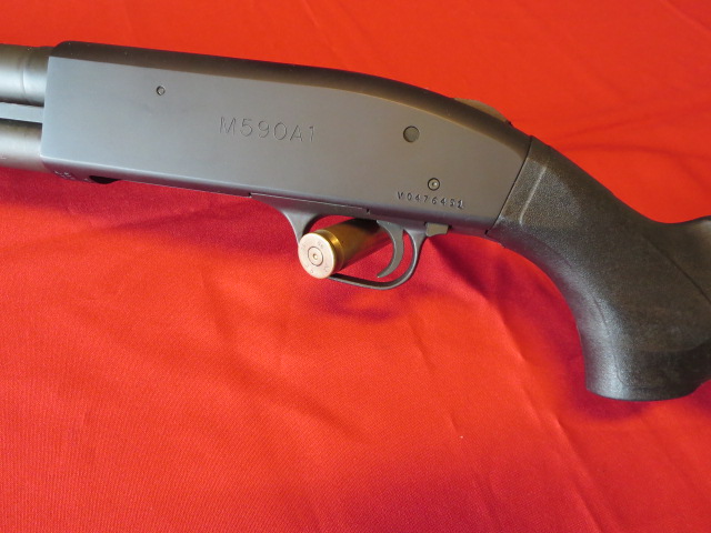 Waff-ank-Clearwater-017