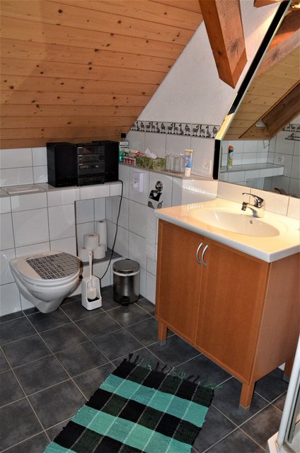 CATARATAS DEL RHIN-5-9-2019 - Suiza y sus pueblos-2019 (51)