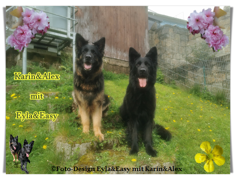 An den Beitrag angehängtes Bild: https://i.postimg.cc/d00WCyzN/GB-25-05-24-Mai.png