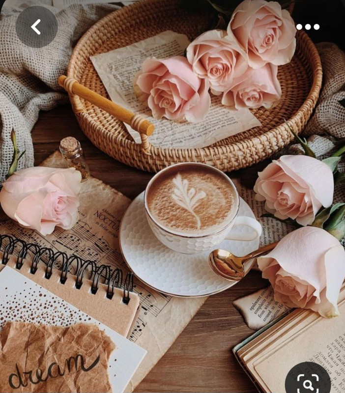 Screenshot_20230603_221940_Pinterest