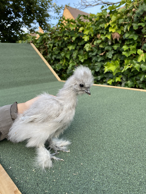 068A0A02-EAC8-4118-ADDE-399E72173282