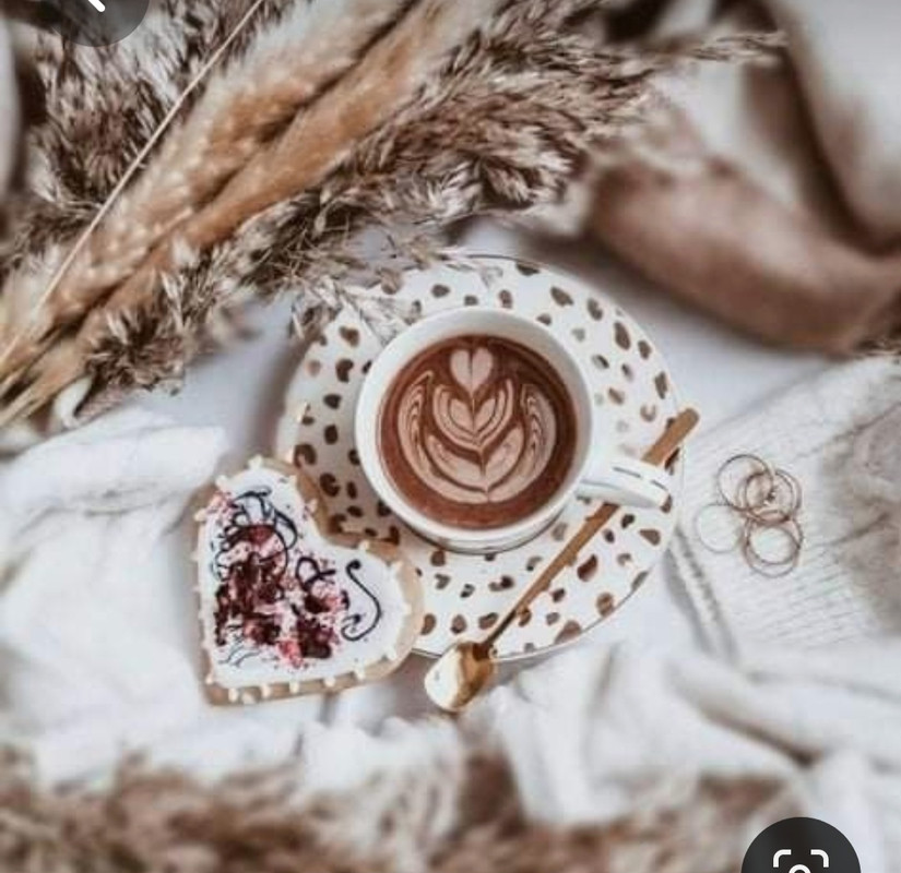 Screenshot_20230731_232724_Pinterest