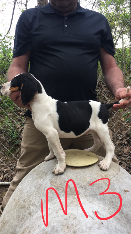 164DE4A5-84F9-44C9-A34A-CCFA1AB65C78