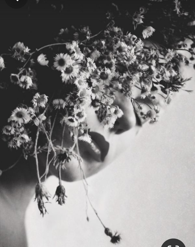 Screenshot_20240117_233154_Pinterest