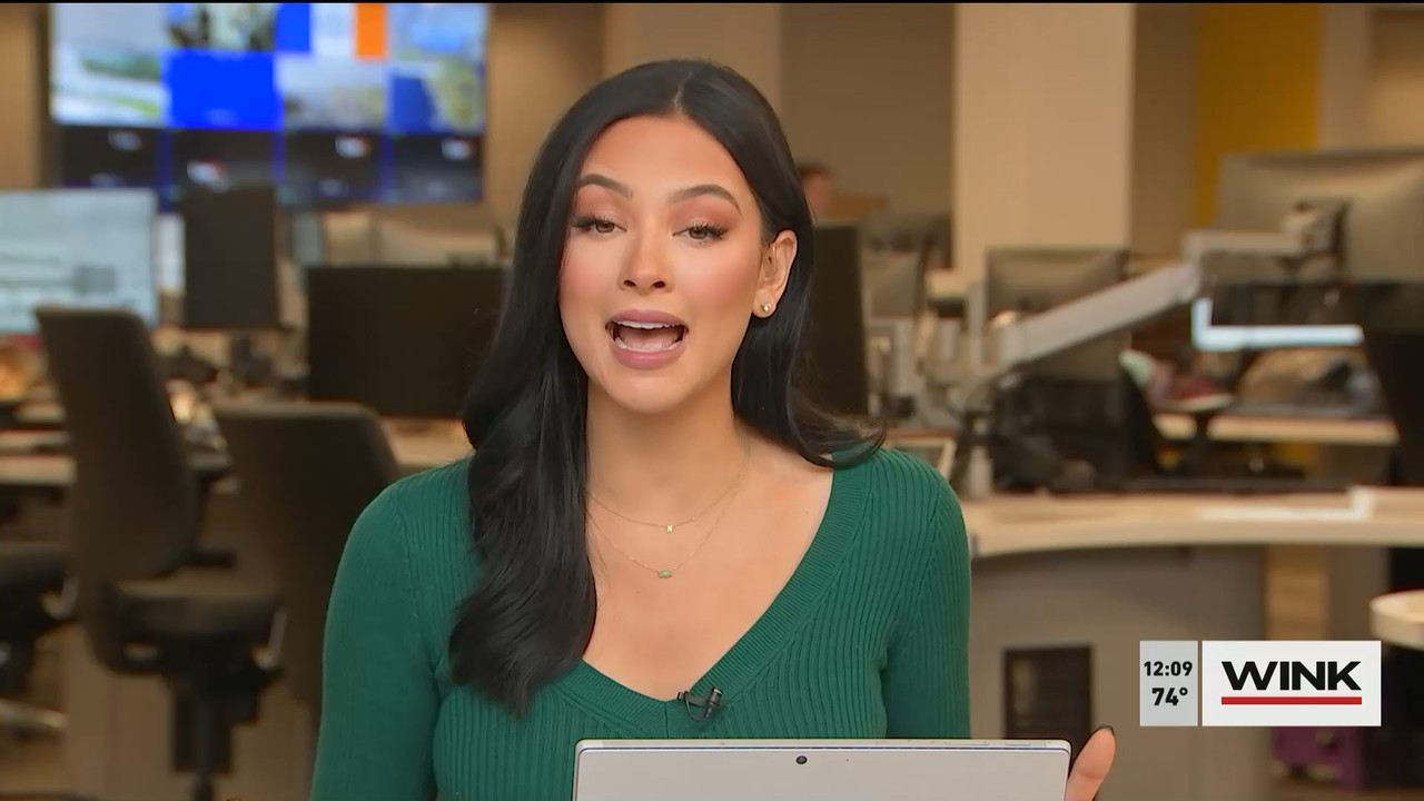 12.21 - 17.00.00 - The WINK Noon News  ᴺᵉʷ. Midday news update..ts_snapshot_15.36.532