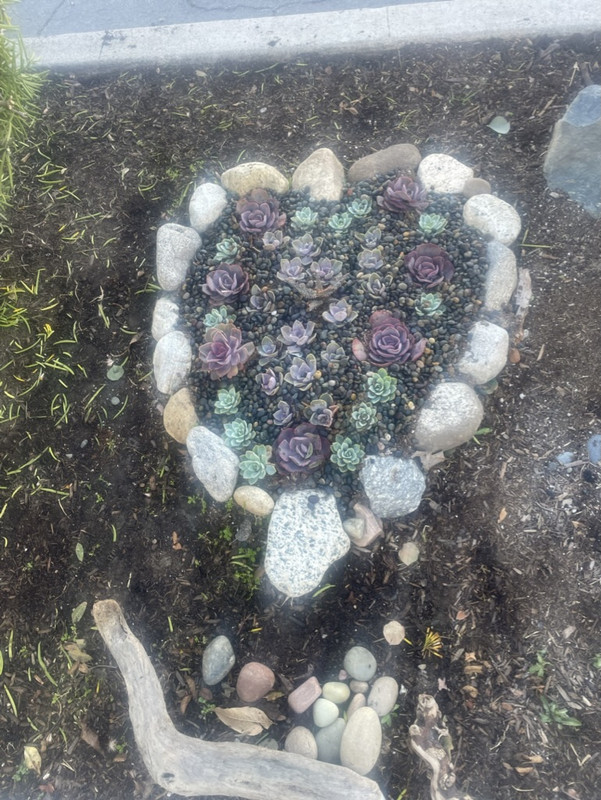 57286D56-7722-4973-9DFC-ADB3529C080E_1_105_c