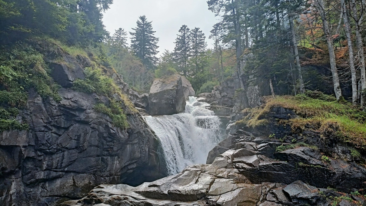 IMG20250822161704 (Large)