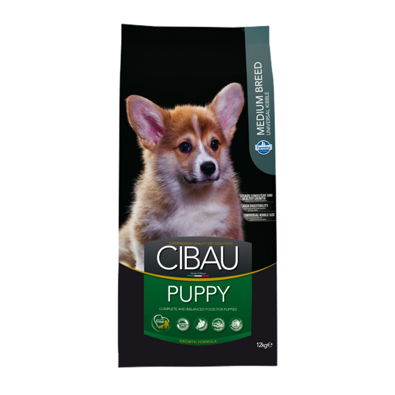 293-cibau-puppy-medium