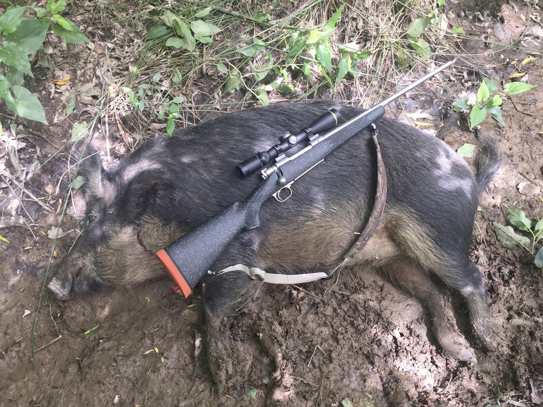 437D0128-2528-42C2-AC06-1244A71D2FF3