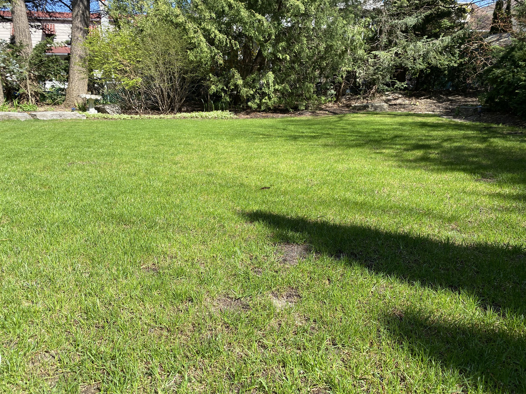 F14AB1AC-50E5-49F4-B088-C673204453EB