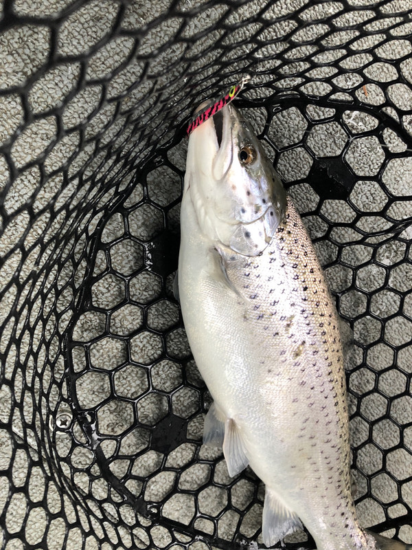 64CB4DD4-F4DA-46B4-B299-9A7E1C2F1500