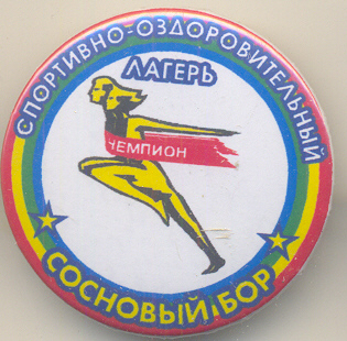 ПЛСосновыйБор1