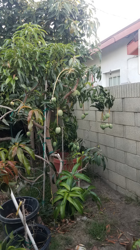 Screenshot_20190830-143032_Photos