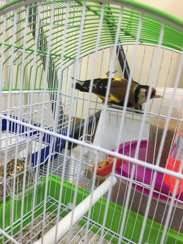 D46C13FA-6145-42EF-8BF9-CD078BB95063