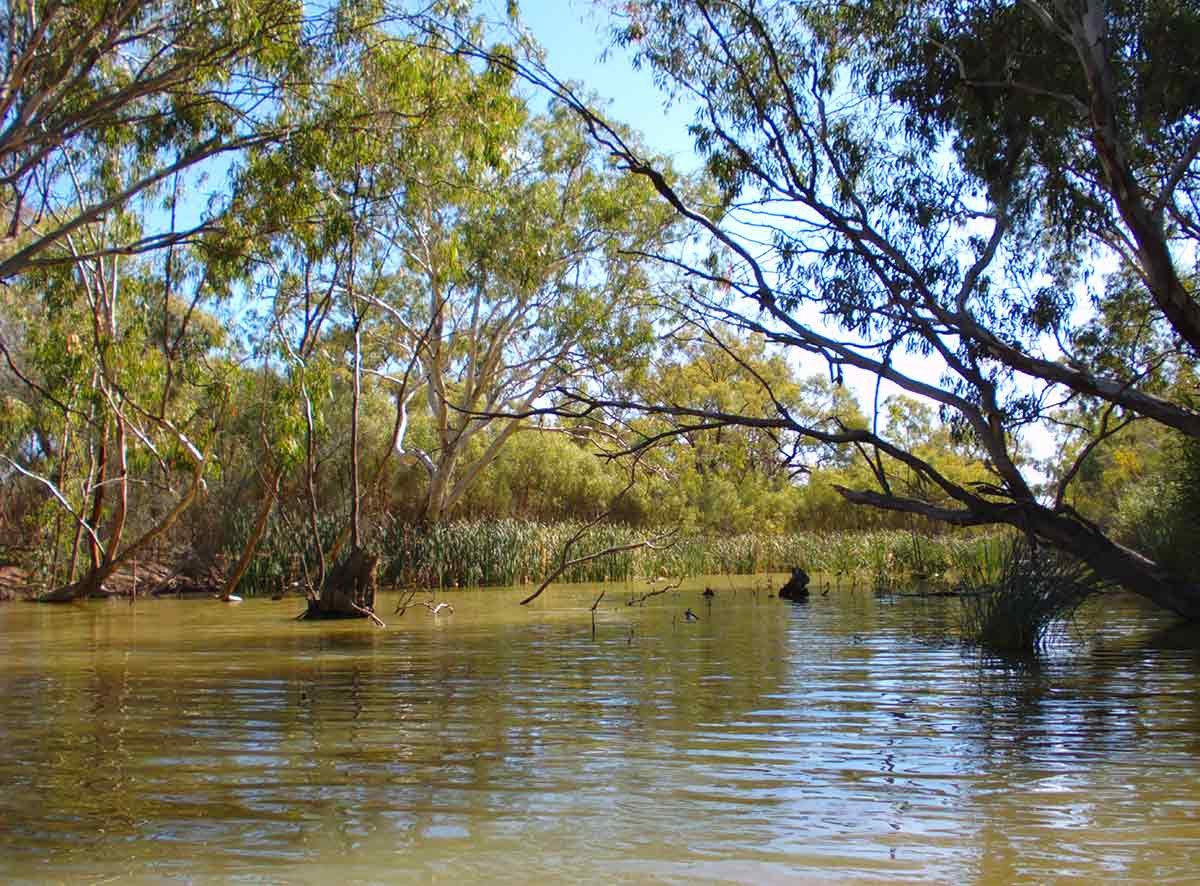 Gurra Gurra Creek