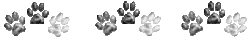 5144838-FSn4s-LQ4mm