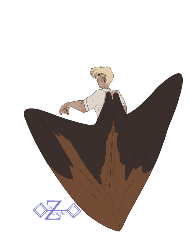 Sketch.png