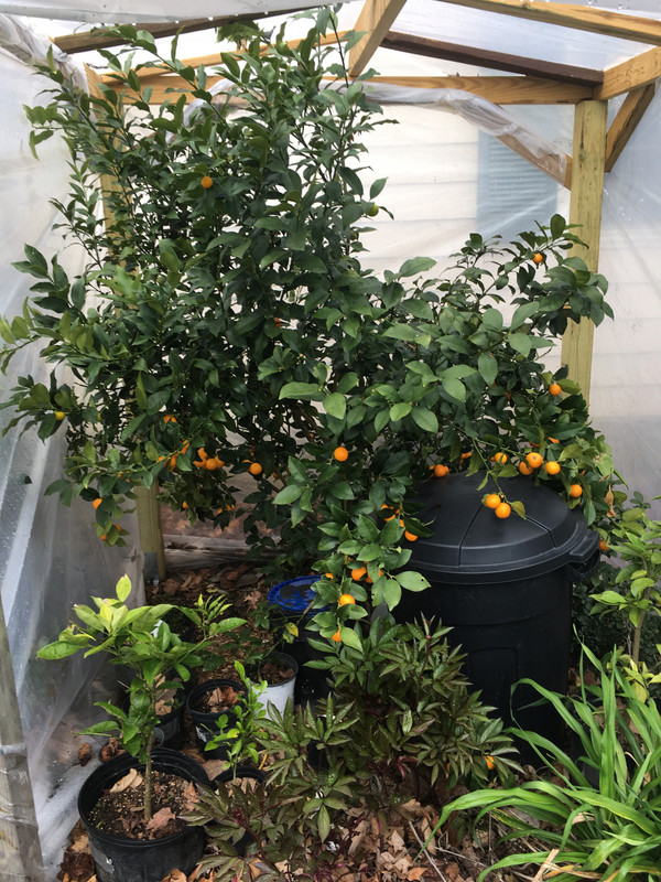 BA1F2958-F99F-4E6F-BBB2-0D7435772A52