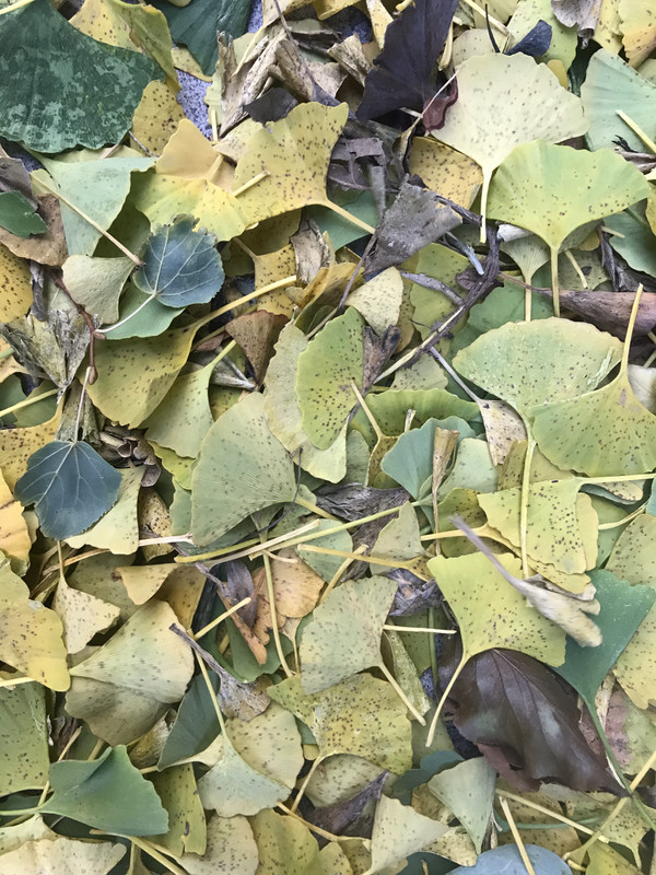 F125305E-76E1-4409-96D8-A586F065050B