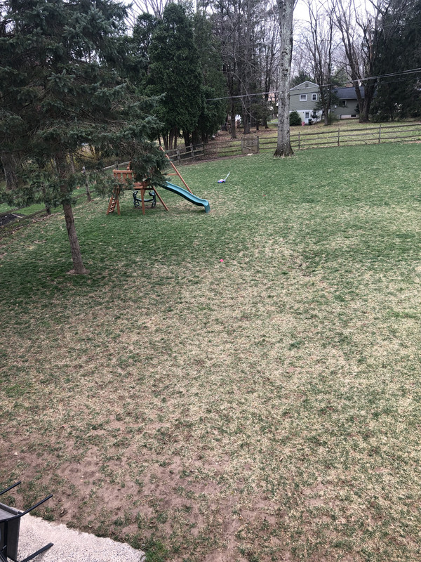 CAC2F8B3-3D52-4426-9413-3C9D8376212C