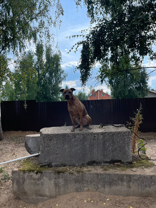 WhatsApp Image 2022-08-05 at 20.23.26 (4)