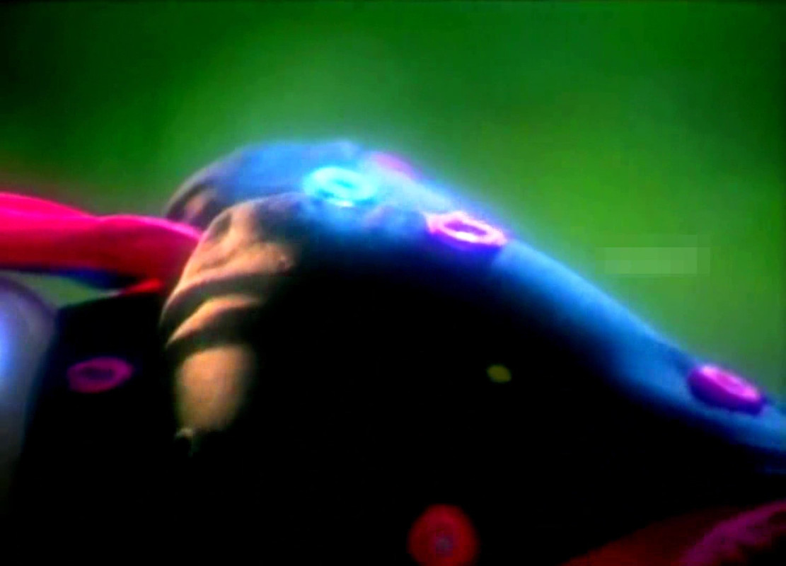 vlcsnap-2022-09-24-09h42m58s966