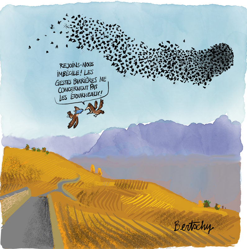 Cp75wCLo4a19NKx43pv0wv