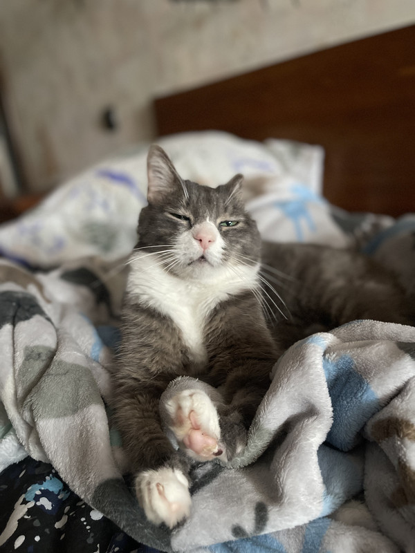 CACD3C49-1D88-40F2-8B4D-F247A8CC7C28