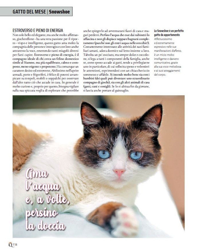 QuattroZampe Apr 2022 (12)