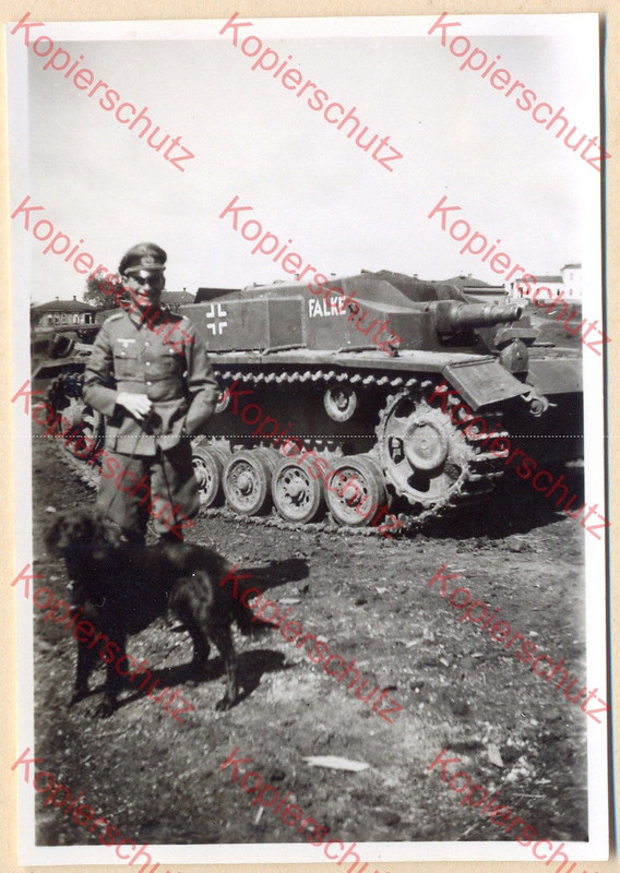 Panzer Sturmgeschütz Stug.Abtl.202 Kommandeur