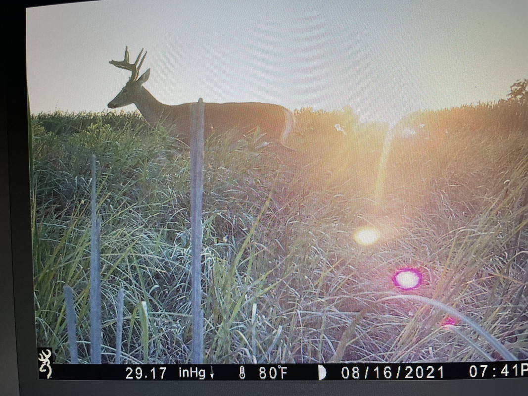 49D0A7F2-DCD4-4CCA-ADE2-B43D533A4259