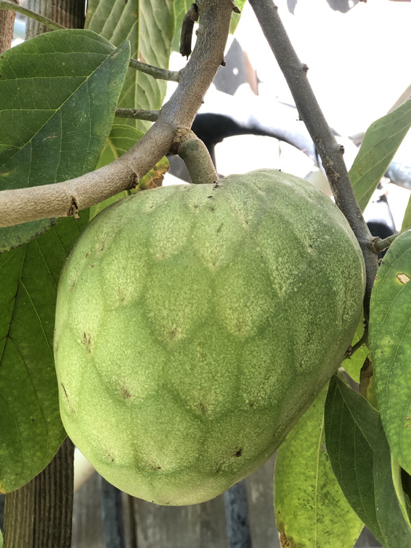 E856A5C3-EBFE-4AA6-A2F1-8EB82D40BF49