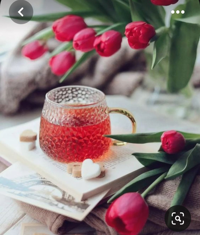 Screenshot_20230616_131006_Pinterest