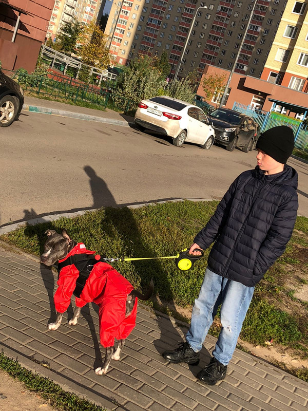 B48F58B4-3C80-4219-9D06-FB07B7E41F2C