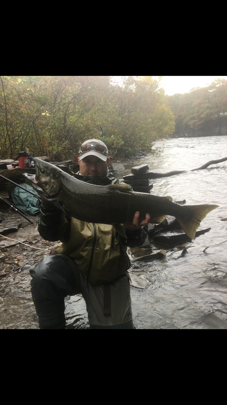 430F2391-BB91-4E1F-80B1-657671947DE4