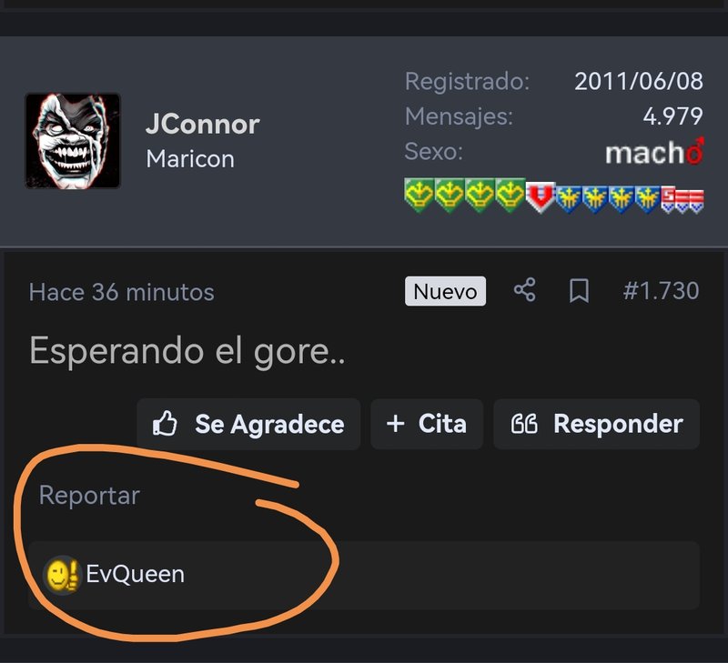 Screenshot-20240206-194731.jpg