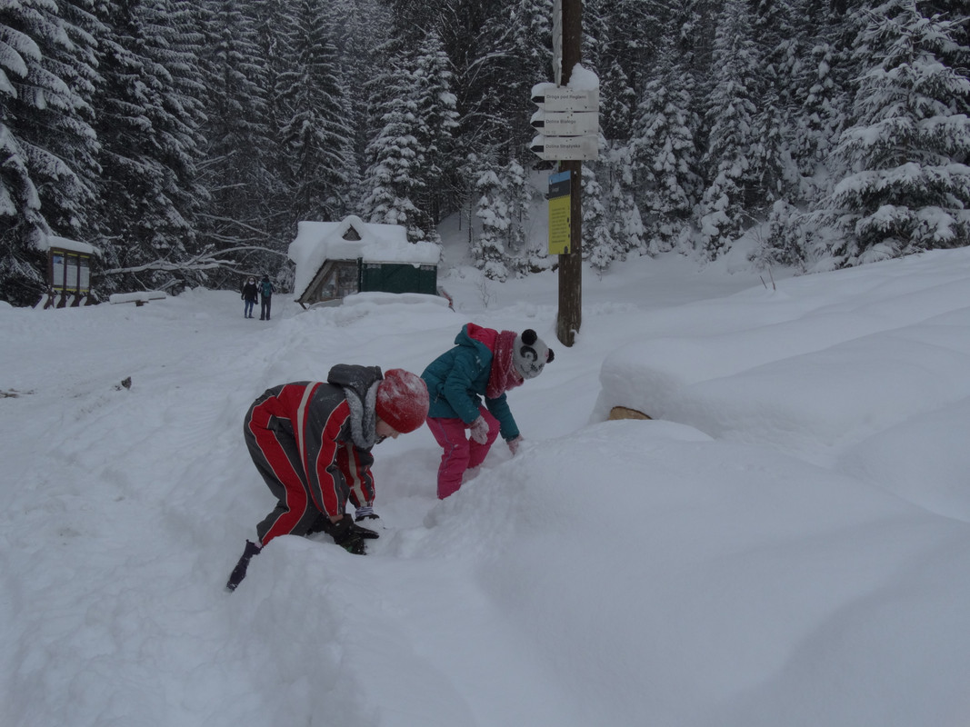 02.25 - DSC06168 (Czesio1)