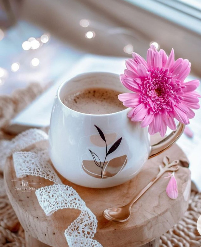 Screenshot_20230124_003138_Chrome