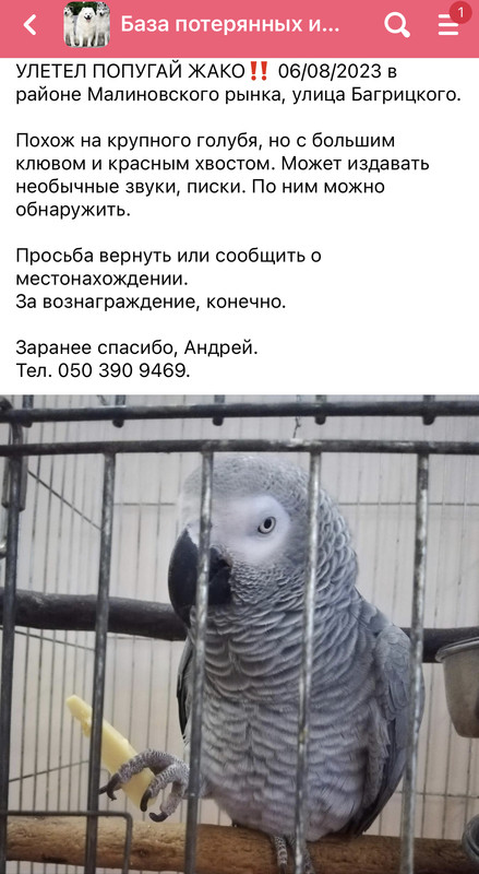 183D05FD-D339-4F18-9367-E71230689D05