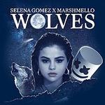 220px-Selena-Gomez-and-Marshmello-Wolves.jpg