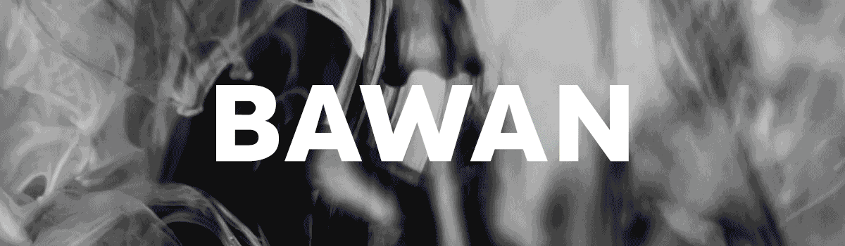bawan133.gif