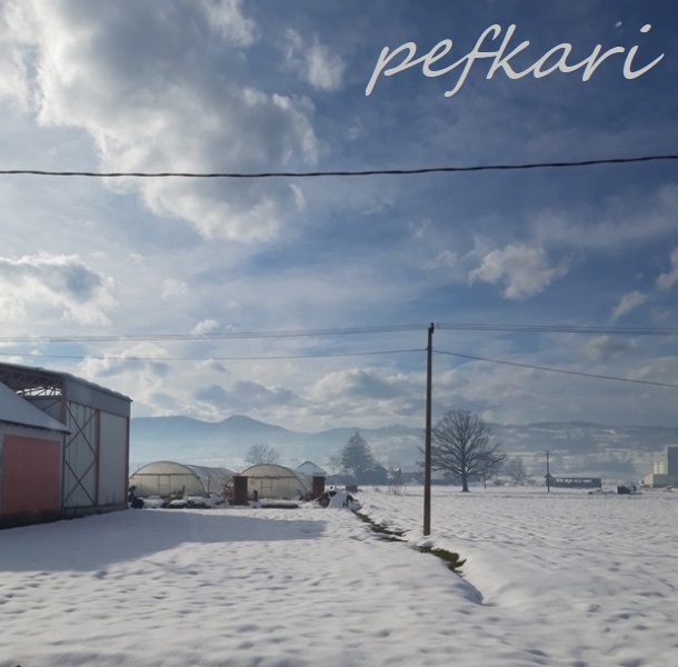 Slika