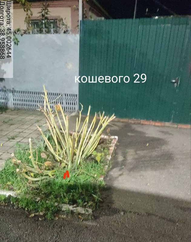 photo 2025 10 31 13 38 42