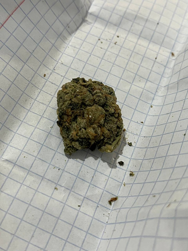 598E5D6A 342C 4CC6 BBB1 2A72A6C0BEC3