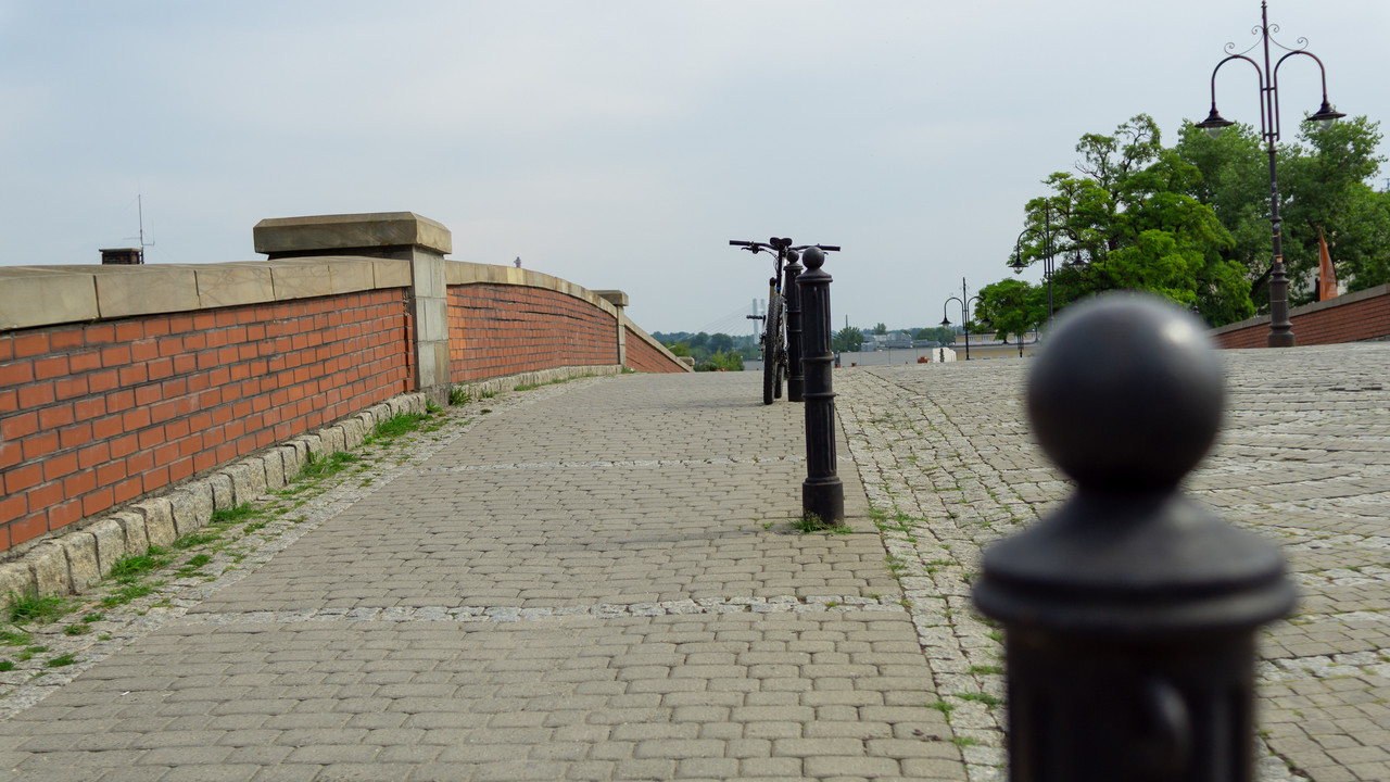 DSC07727.jpg