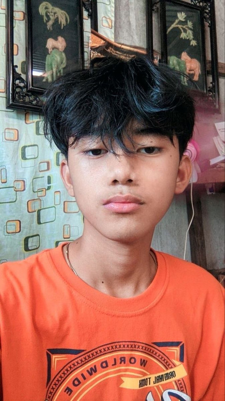 Budi Prasetyo